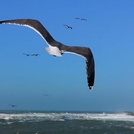 Villa L'Oiseau Bleu Эс-Сувейра Экстерьер фото